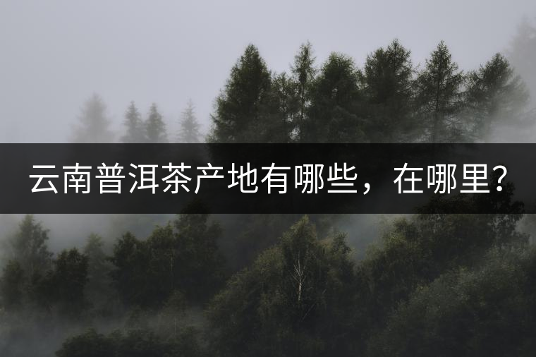 云南普洱茶產(chǎn)地有哪些，在哪里？