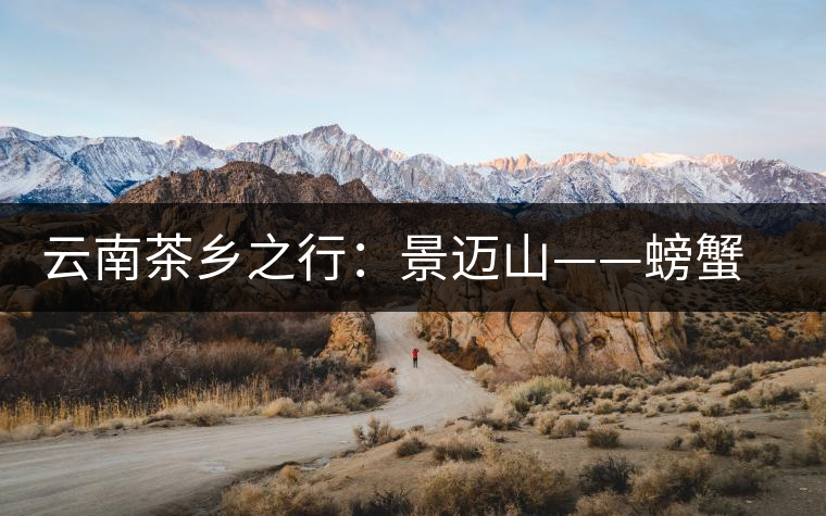 云南茶鄉(xiāng)之行:景邁山——螃蟹腳 云南茶鄉(xiāng)之行:景邁山——螃蟹腳