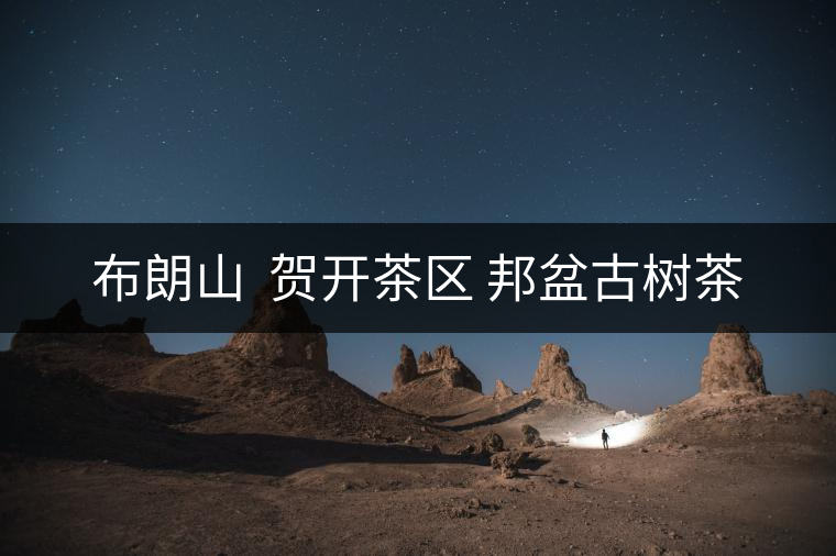 布朗山 賀開(kāi)茶區(qū) 邦盆古樹(shù)茶 布朗山 賀開(kāi)茶區(qū) 邦盆古樹(shù)茶