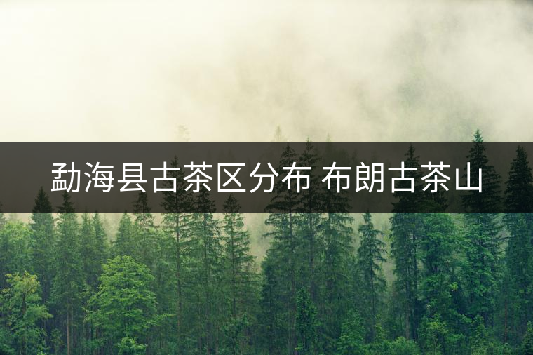 勐?？h古茶區(qū)分布 布朗古茶山