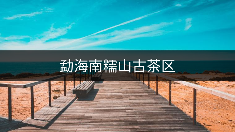 勐海南糯山古茶區(qū) 勐海南糯山古茶區(qū)