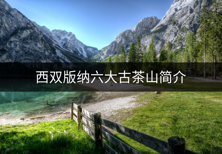 西雙版納六大古茶山簡(jiǎn)介 西雙版納六大古茶山簡(jiǎn)介