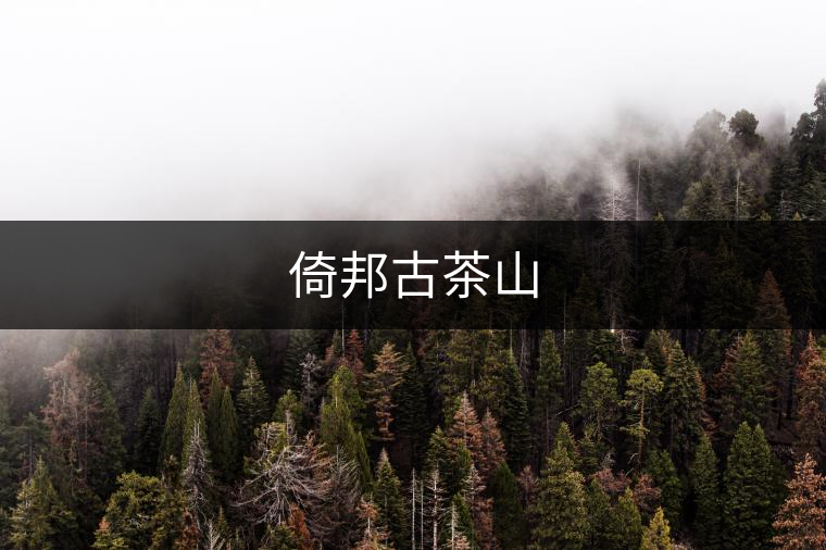 倚邦古茶山 倚邦古茶山