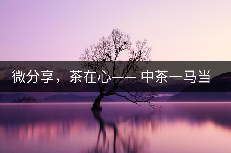 微分享，茶在心—— 中茶一馬當(dāng)先