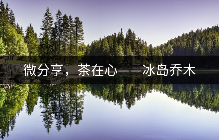 微分享，茶在心——冰島喬木