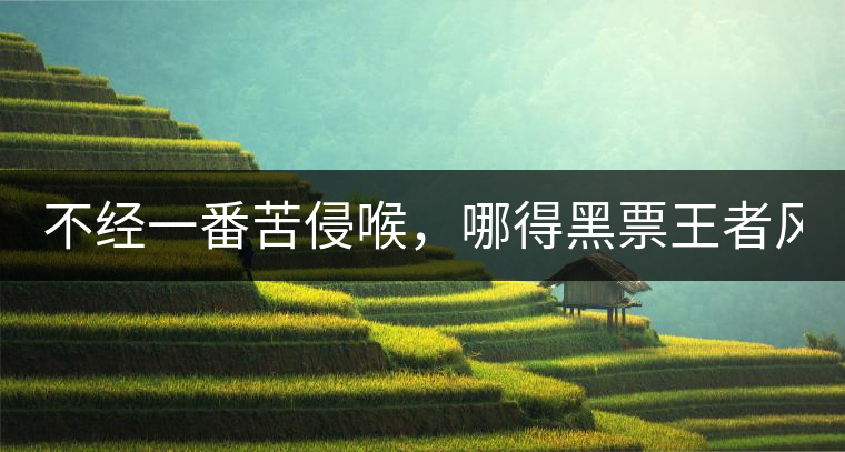 不經(jīng)一番苦侵喉，哪得黑票王者風(fēng)！