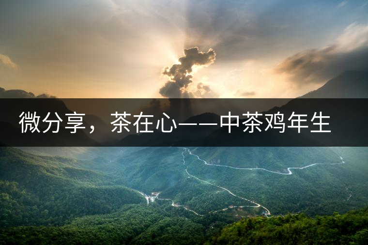 微分享，茶在心——中茶雞年生肖餅