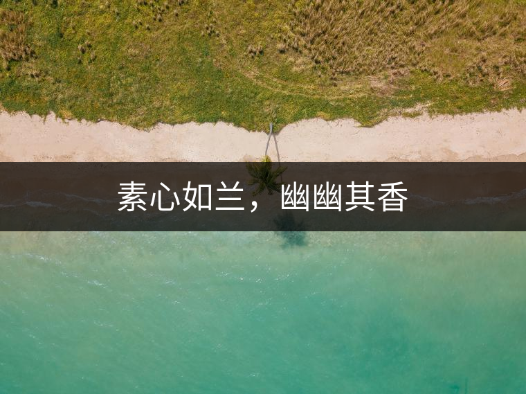 素心如蘭，幽幽其香