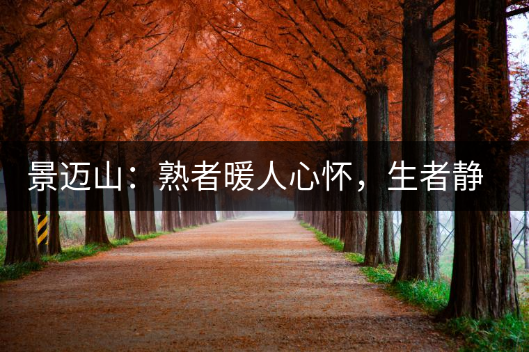 景邁山：熟者暖人心懷，生者靜品歲月