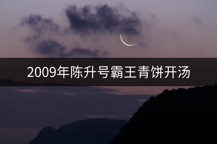 2009年陳升號霸王青餅開湯