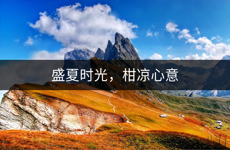 盛夏時光，柑涼心意