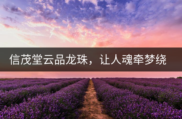 信茂堂云品龍珠，讓人魂牽夢繞的尤物