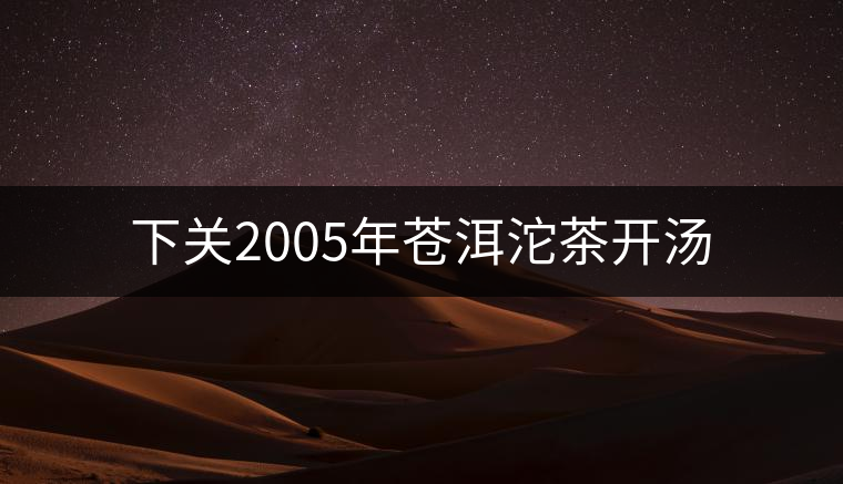 下關(guān)2005年蒼洱沱茶開(kāi)湯
