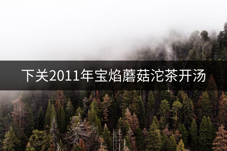 下關2011年寶焰蘑菇沱茶開湯