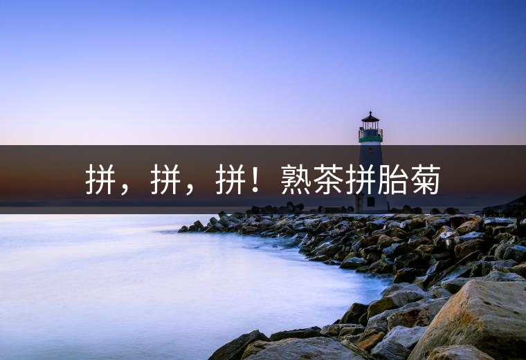 拼，拼，拼！熟茶拼胎菊