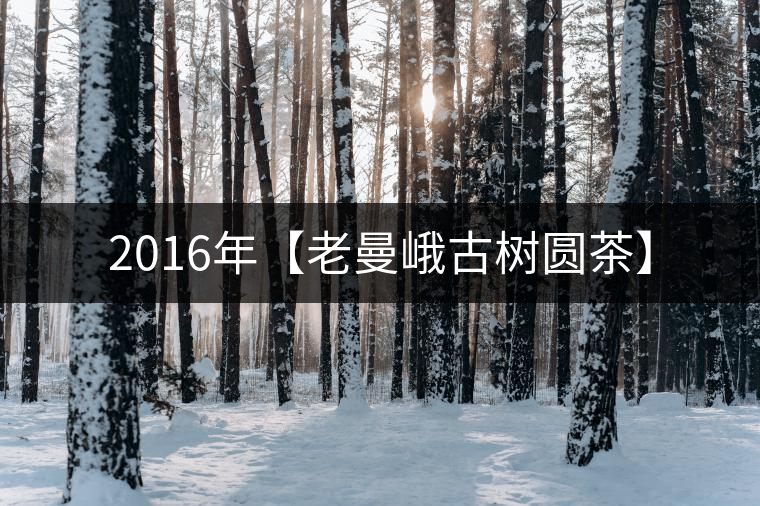 2016年【老曼峨古樹(shù)圓茶】 2016年【老曼峨古樹(shù)圓茶】