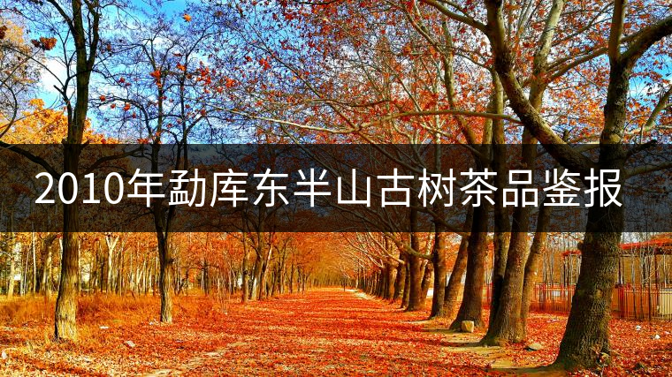 2010年勐庫(kù)東半山古樹(shù)茶品鑒報(bào)告 2010年勐庫(kù)東半山古樹(shù)茶品鑒報(bào)告