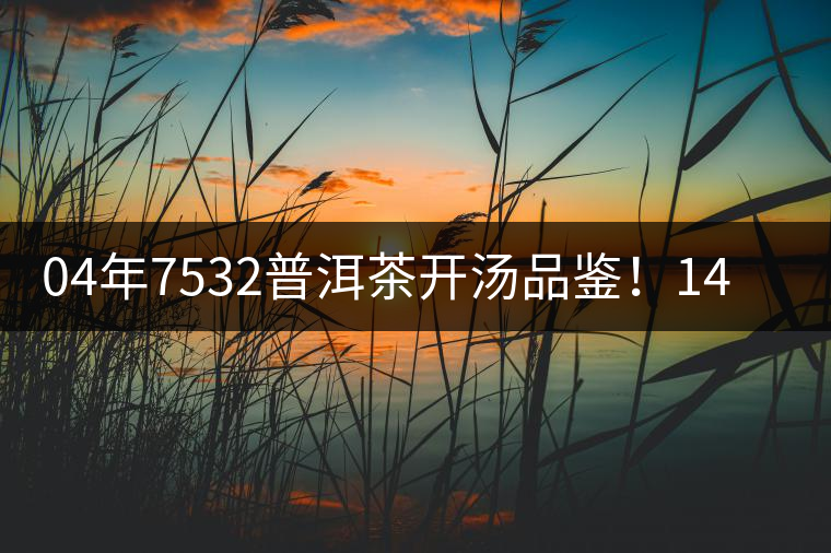 04年7532普洱茶開湯品鑒！14年轉化，經(jīng)典雪印配方！