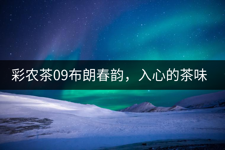 彩農(nóng)茶09布朗春韻，入心的茶味兒