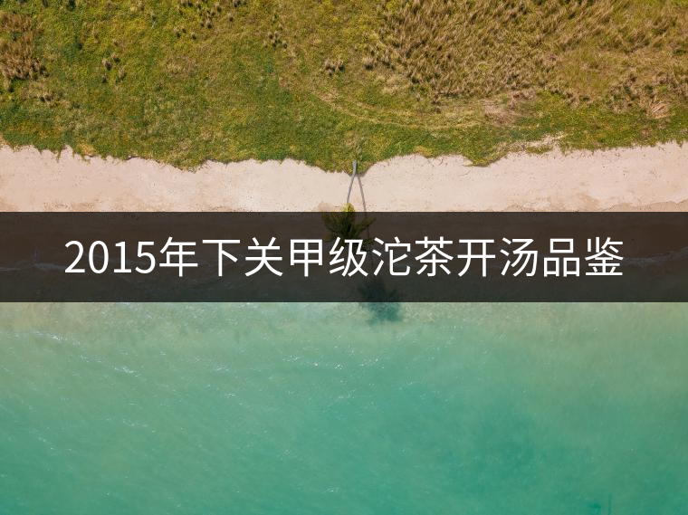 2015年下關(guān)甲級沱茶開湯品鑒