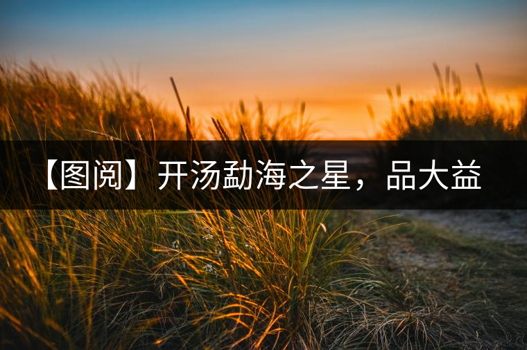 【圖閱】開湯勐海之星，品大益熟茶滋味