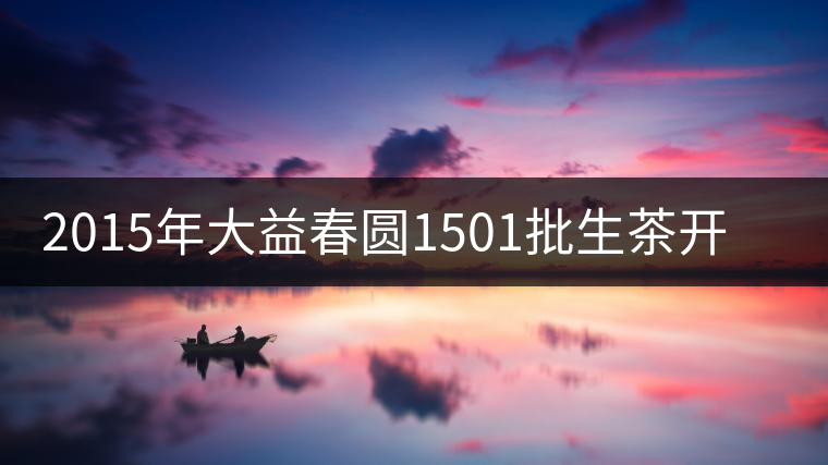 2015年大益春圓1501批生茶開(kāi)湯品鑒