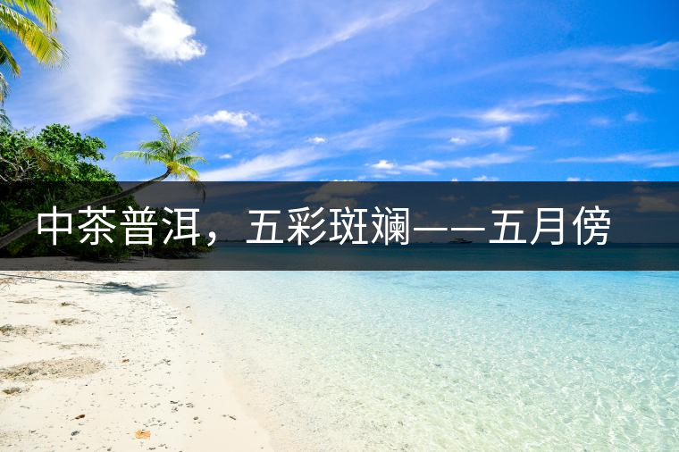 中茶普洱，五彩斑斕——五月傍晚，一道茶