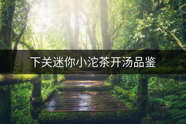 下關(guān)迷你小沱茶開(kāi)湯品鑒 下關(guān)迷你小沱茶開(kāi)湯品鑒