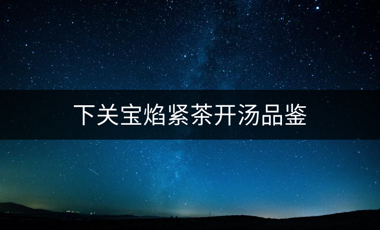 下關(guān)寶焰緊茶開(kāi)湯品鑒 下關(guān)寶焰緊茶開(kāi)湯品鑒