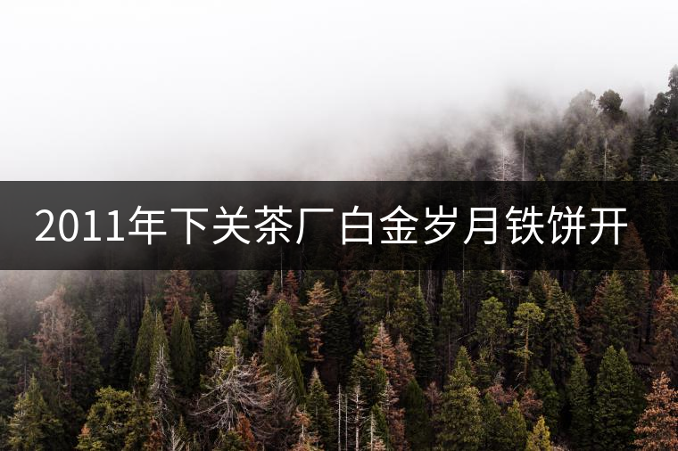 2011年下關茶廠白金歲月鐵餅開湯品鑒