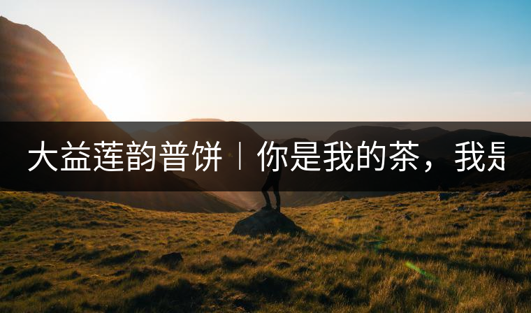 大益蓮韻普餅︱你是我的茶，我是你的人！