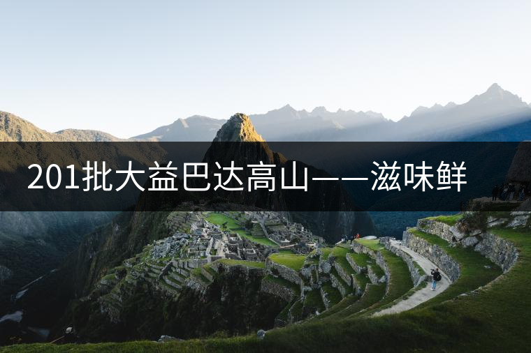 201批大益巴達高山——滋味鮮爽醇厚，回甘高而持久