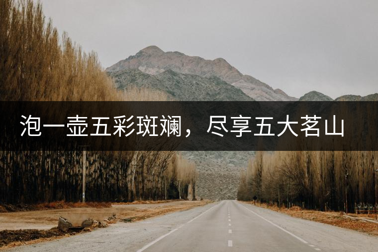 泡一壺五彩斑斕，盡享五大茗山之味