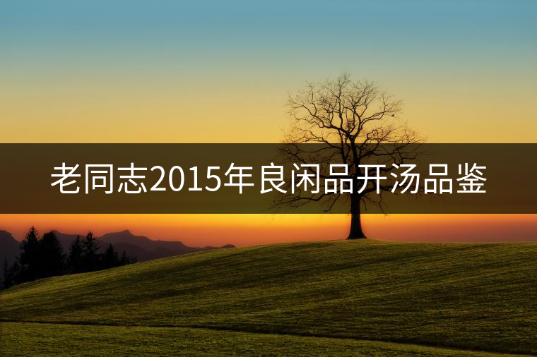 老同志2015年良閑品開(kāi)湯品鑒 老同志2015年良閑品開(kāi)湯品鑒