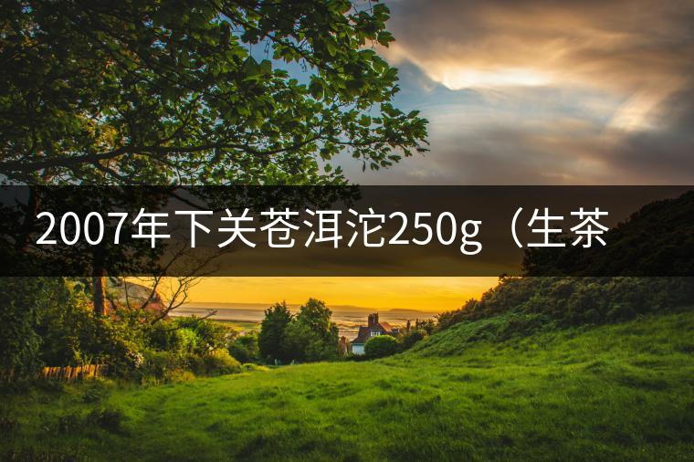 2007年下關蒼洱沱250g（生茶）品評