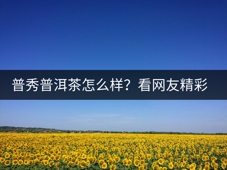 普秀普洱茶怎么樣？看網(wǎng)友精彩回答