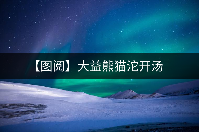 【圖閱】大益熊貓沱開湯 【圖閱】大益熊貓沱開湯