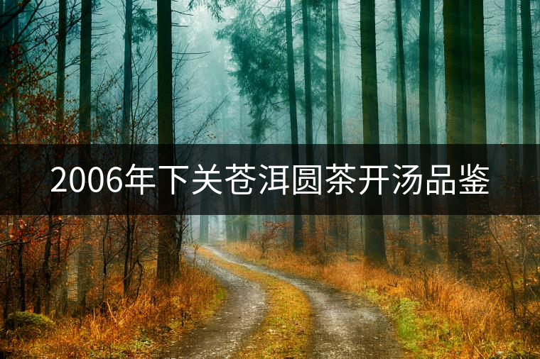 2006年下關(guān)蒼洱圓茶開(kāi)湯品鑒