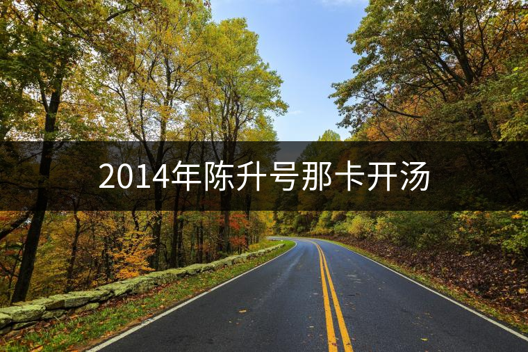 2014年陳升號(hào)那卡開(kāi)湯 2014年陳升號(hào)那卡開(kāi)湯