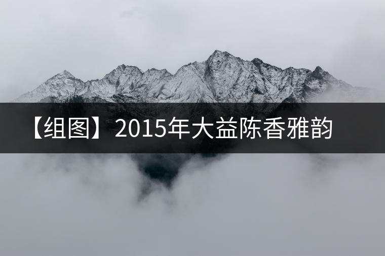 【組圖】2015年大益陳香雅韻開(kāi)湯