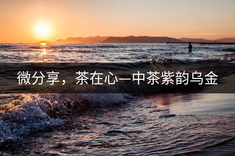 微分享，茶在心—中茶紫韻烏金