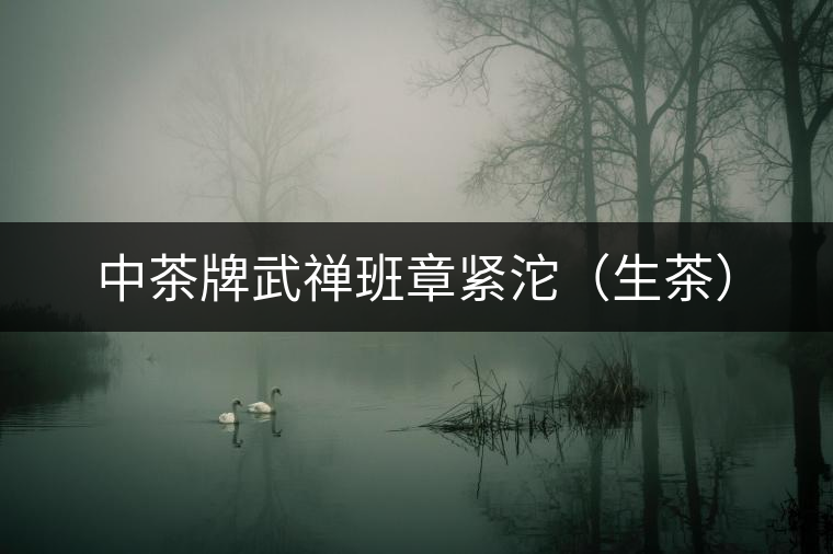 中茶牌武禪班章緊沱(生茶) 中茶牌武禪班章緊沱(生茶)