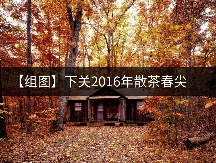 【組圖】下關(guān)2016年散茶春尖開湯 【組圖】下關(guān)2016年散茶春尖開湯