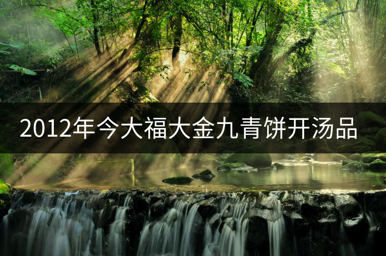 2012年今大福大金九青餅開(kāi)湯品鑒