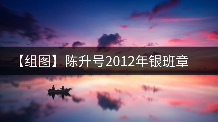 【組圖】陳升號(hào)2012年銀班章磚茶開湯