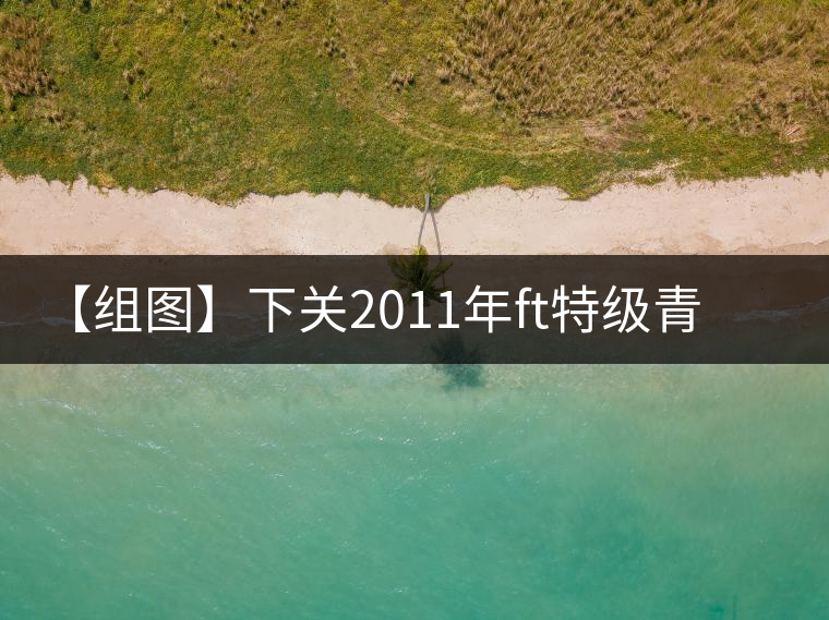 【組圖】下關2011年ft特級青餅開湯 【組圖】下關2011年ft特級青餅開湯