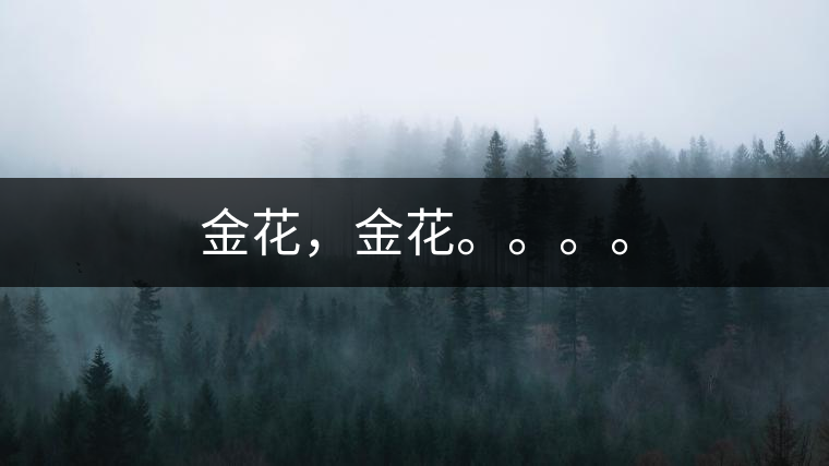 金花，金花。。。。
