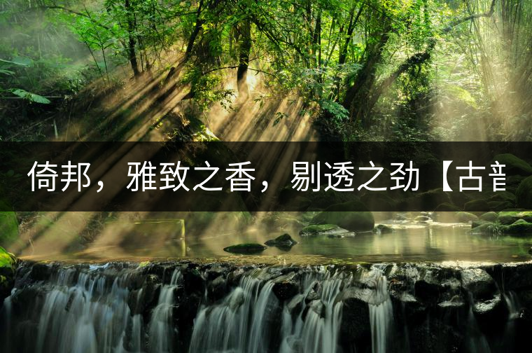 倚邦，雅致之香，剔透之勁【古普十二山品鑒】