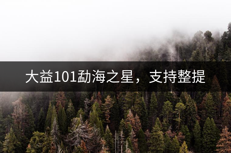 大益101勐海之星，支持整提