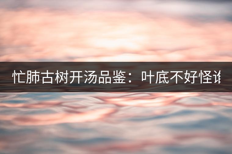 忙肺古樹開湯品鑒：葉底不好怪誰？